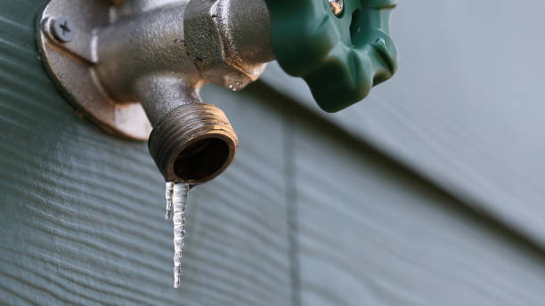 Best Best Plumbers Near Me  in Lakeland, TN